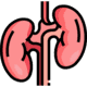 Nephrology