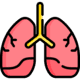 Pulmonology